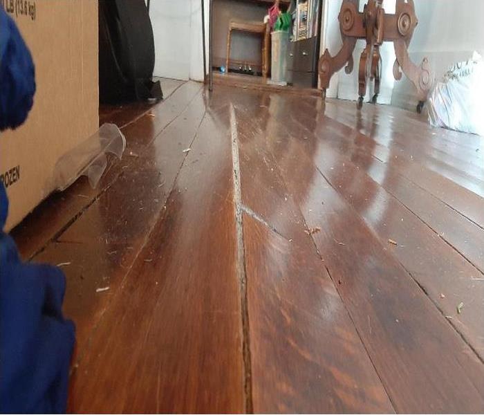 damaged wood floors in home