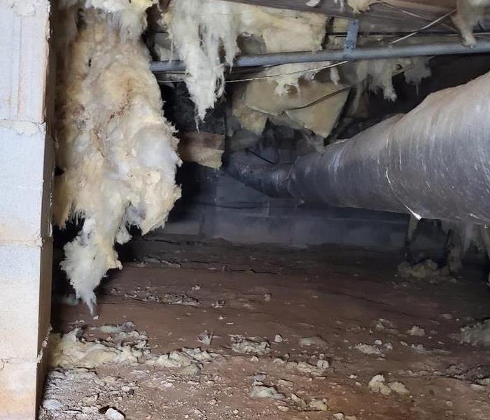 Microbial Growth in Crawl Space